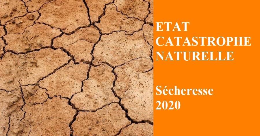Reconnaissance de catastrophe naturelle - Sécheresse et réhydratation des sols - année 2020